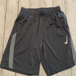 Nike Dri-Fit Shorts SZ Large